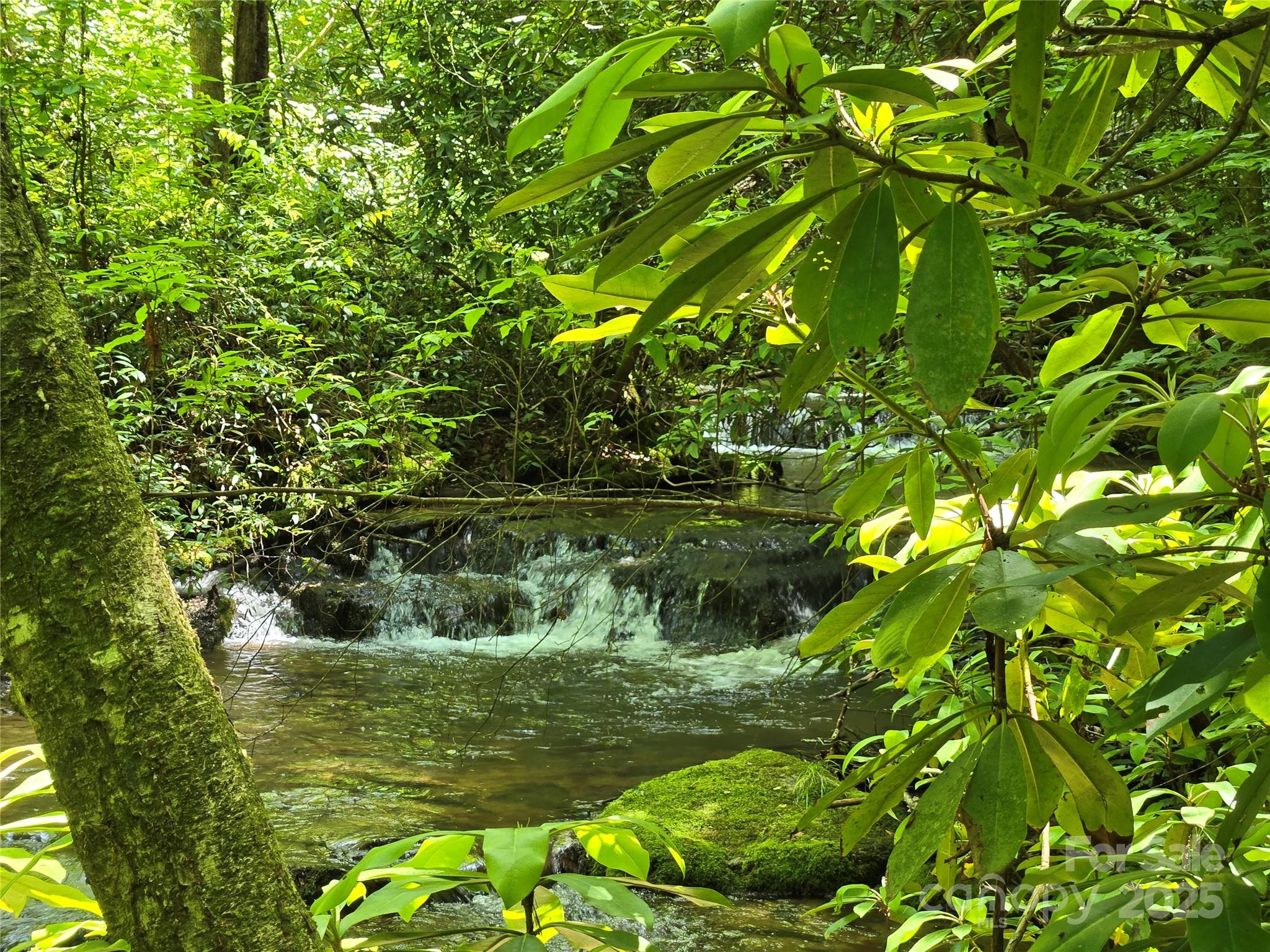 Waterfall on the property